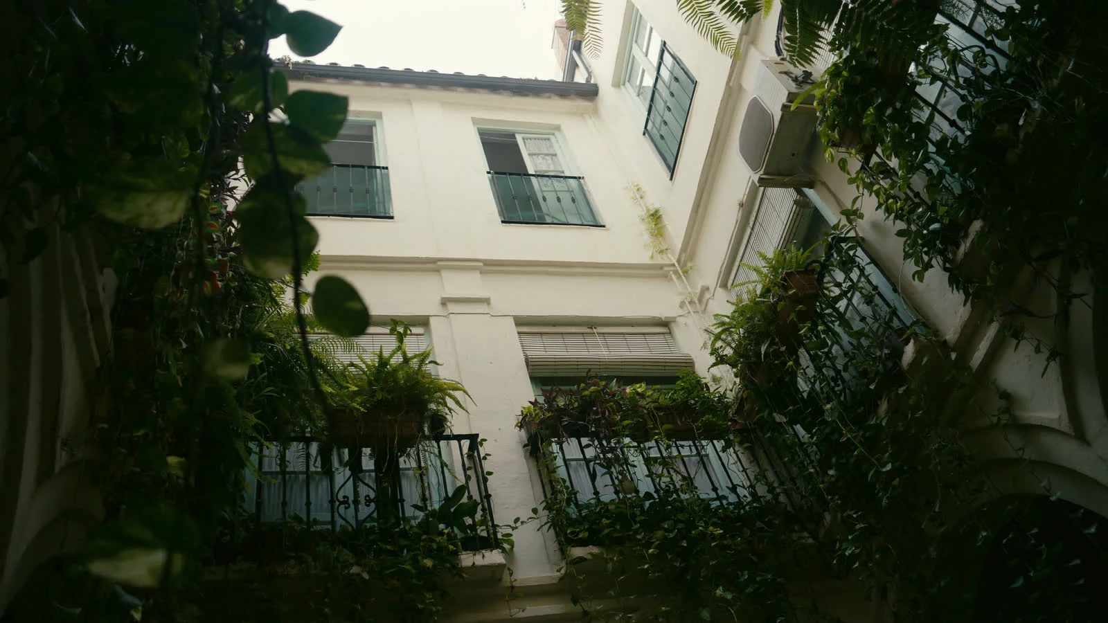 A planted courtyard seen from below, ferns and vines spilling from every balcony