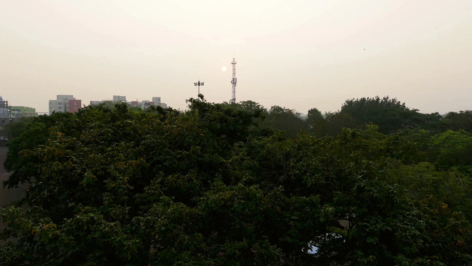 An Indian city at sunrise, mid-rise blocks under heavy tree cover in morning haze